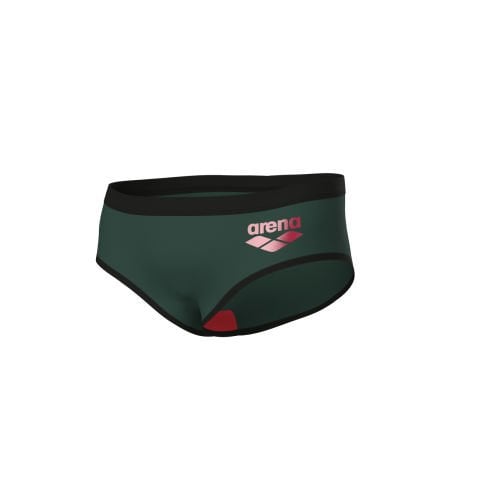MENS ARENA ONE 12 CM BRIEFS BIG LOGO/DARK SAGE