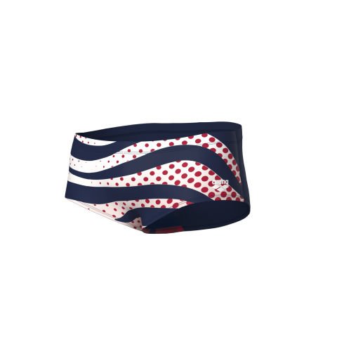 MENS ARENA MULTI STRIPES SWIM LOW WAIST/NAVY ERKEK MAYOSU