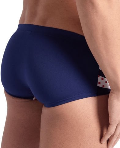 MENS ARENA MULTI STRIPES SWIM LOW WAIST/NAVY ERKEK MAYOSU