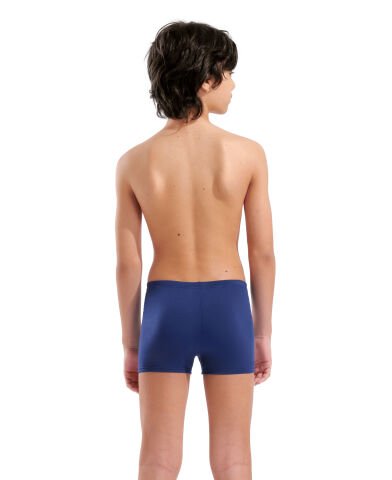 B Arena Fireflow Swim Short Navy-green