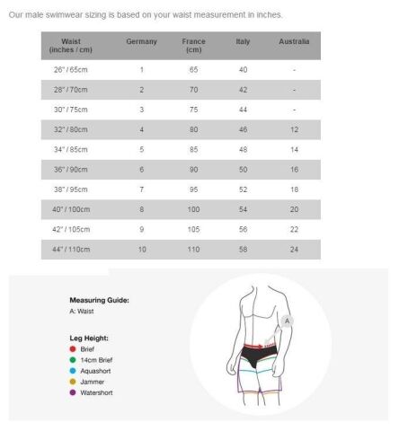 Speedo Men's Dive Aquashort Navy/Blue Erkek Mayosu