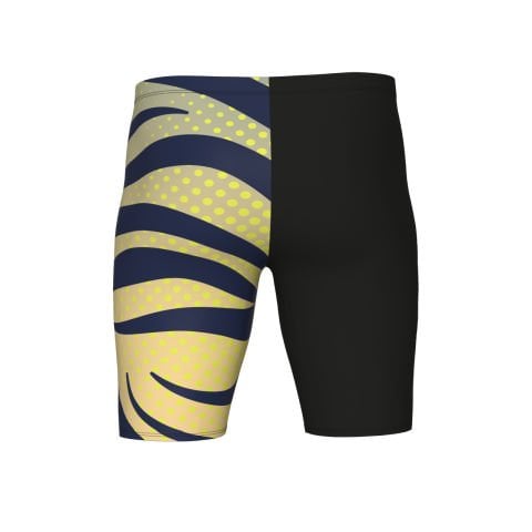 MEN'S ARENA MULTI STRIPES SWIM JAMMER/BLACK MULTI ERKEK MAYOSU