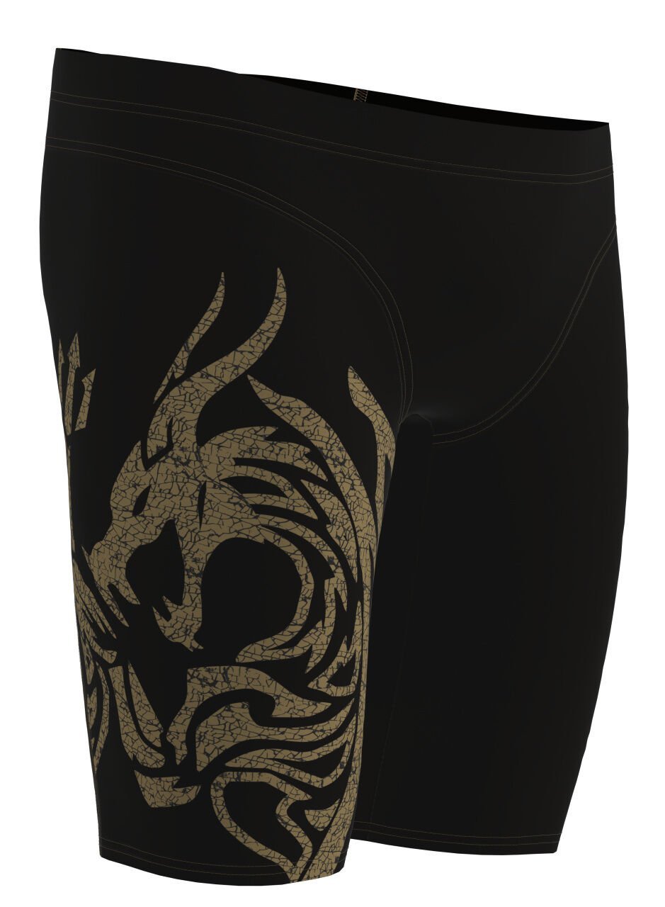 MEN'S ARENA SWIM JAMMER SIGNATURE / DRAGON
