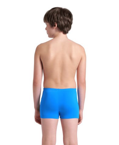 BOYS ARENA LOGO GRAPHIC SWIM SHORT/BLUE RIVER-WATER MULTI ERKEK ÇOCUK MAYOSU
