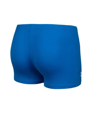 BOYS ARENA LOGO GRAPHIC SWIM SHORT/BLUE RIVER-WATER MULTI ERKEK ÇOCUK MAYOSU
