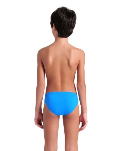 BOYS ARENA LOGO GRAPHIC SWIM BRIEFS/BLUE RIVER-WATER MULTI ERKEK ÇOCUK MAYOSU