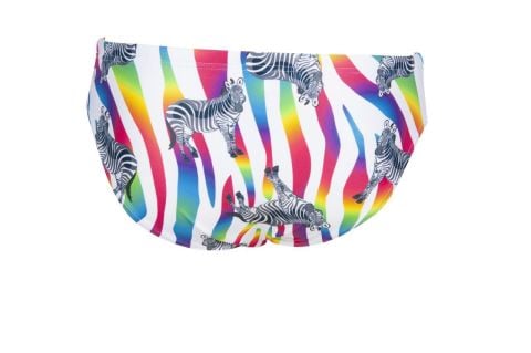 M CRAZY ZEBRAS BRIEF ERKEK YÜZÜCÜ MAYOSU  /  PROVENZA MULTI F 65 (UK 26)