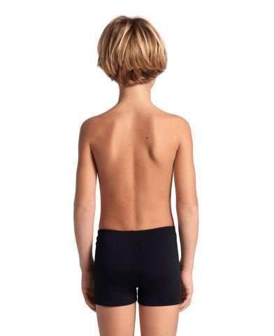 BOYS ARENA REFLECTING SWIM SHORT/BLACK