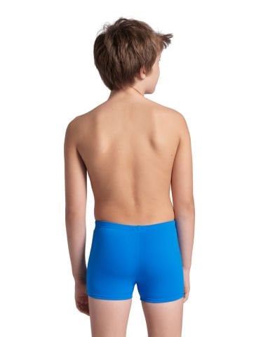 BOYS ARENA REFLECTING SWIM SHORT ERKEK ÇOCUK YÜZÜCÜ MAYOSU /BLUE RIVER