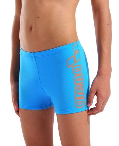 Boys Arena Logo Swim Short Turquoise erkek çocuk mayosu