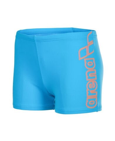 Boys Arena Logo Swim Short Turquoise erkek çocuk mayosu
